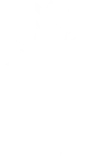 Zaitona